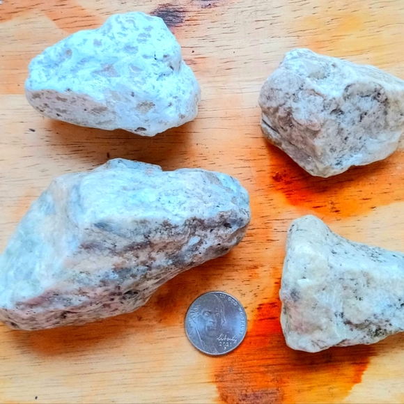 Beautiful White Beige Petrafied Wood Crystal .